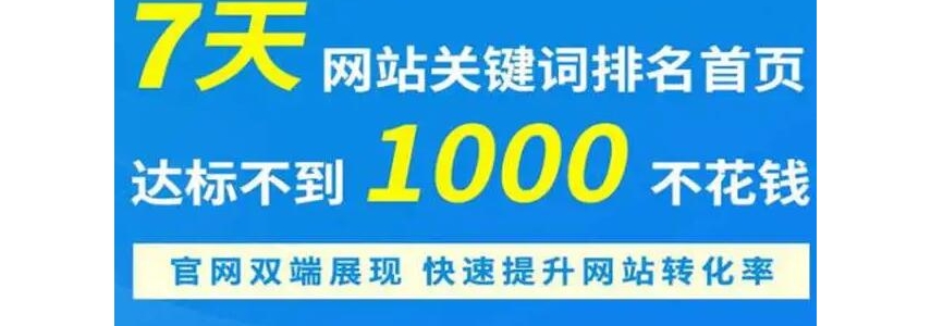 企业网站优化seo获取获客新的突破口